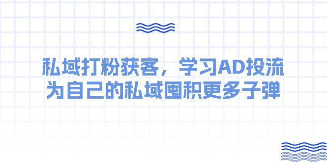 （10728期）某收费课：私域打粉获客，学习AD投流，为自己的私域囤积更多子弹-一起网创
