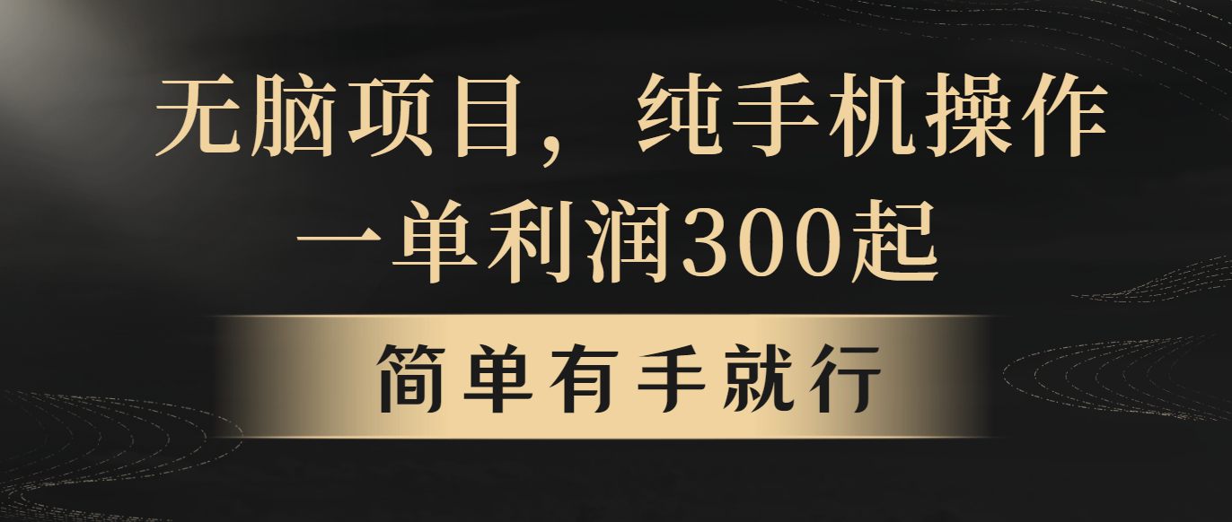 （10589期）无脑项目，一单几百块，轻松月入5w+，看完就能直接操作-一起网创