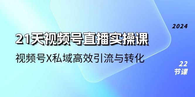 （10966期）21天-视频号直播实操课，视频号X私域高效引流与转化（22节课）-一起网创