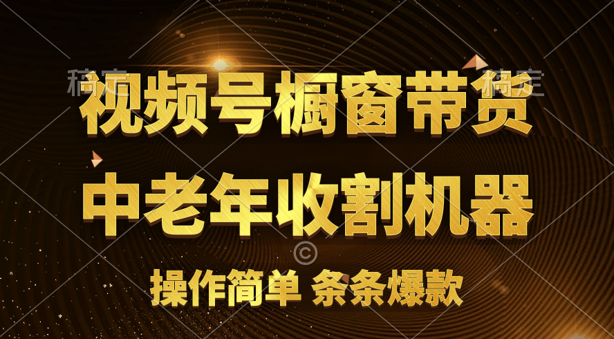 （11009期）[你的孩子成功取得高位]视频号最火爆赛道，橱窗带货，流量分成计划，条…-一起网创
