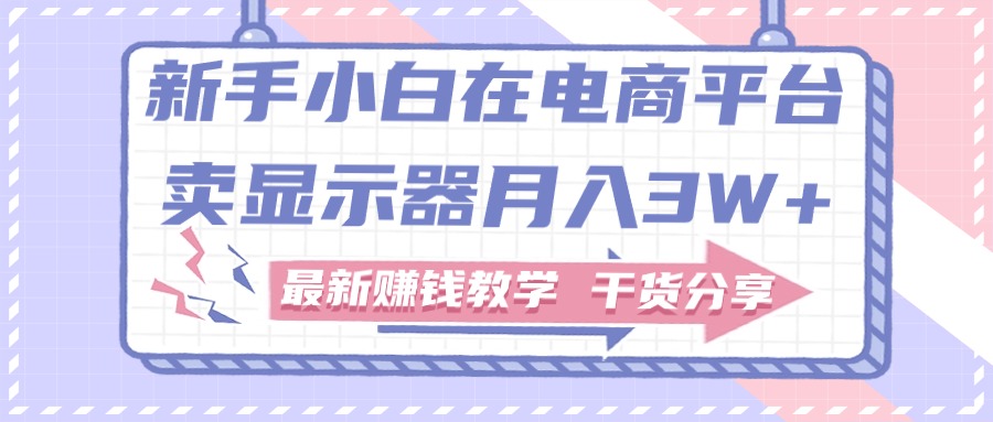 （11053期）新手小白如何做到在电商平台卖显示器月入3W+，最新赚钱教学干货分享-一起网创