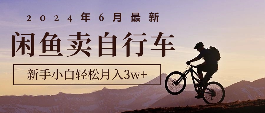 （10915期）2024年6月最新闲鱼卖自行车，新手小白轻松月入3w+项目-一起网创