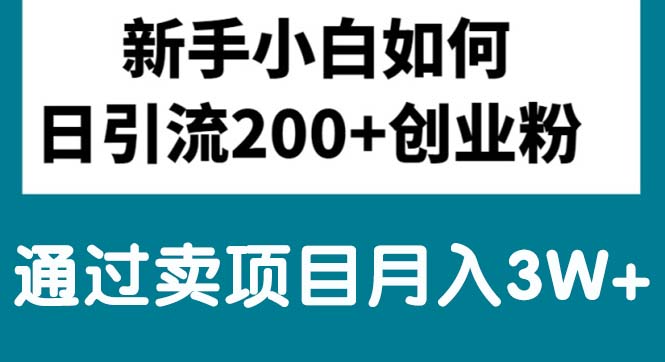 （10843期）新手小白日引流200+创业粉,通过卖项目月入3W+-一起网创