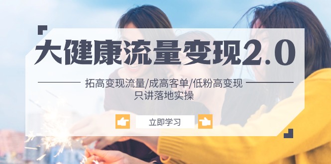 （10871期）大健康 流量 变现2.0：拓高变现 流量/成高客单/低粉高变现/只讲落地实战-一起网创