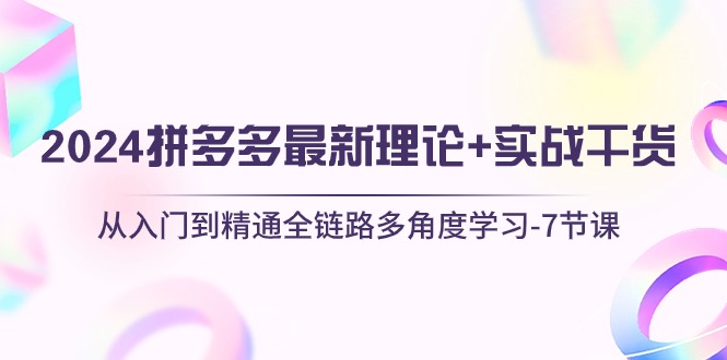 （10816期）2024拼多多 最新理论+实战干货，从入门到精通全链路多角度学习-7节课-一起网创