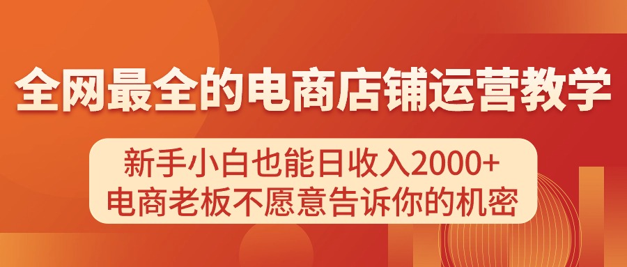 （11266期）电商店铺运营教学，新手小白也能日收入2000+，电商老板不愿意告诉你的机密-一起网创