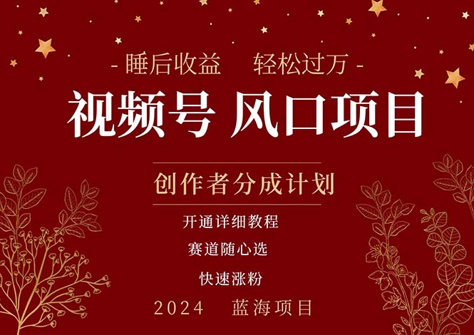（11331期）拥有睡眠收益的微信视频号大风口项目，轻松月入过万+，多赛道选择，可…-一起网创