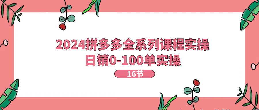 （11222期）2024拼多多全系列课程实操，日销0-100单实操【16节课】-一起网创