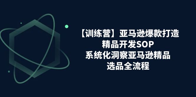 （11210期）【训练营】亚马逊爆款打造之精品开发SOP，系统化洞察亚马逊精品选品全流程-一起网创