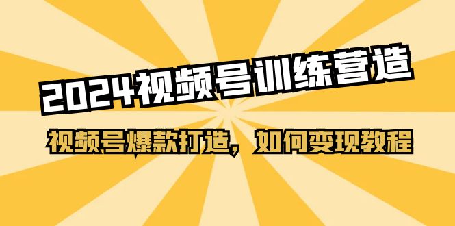 （11135期）2024视频号训练营，视频号爆款打造，如何变现教程（20节课）-一起网创