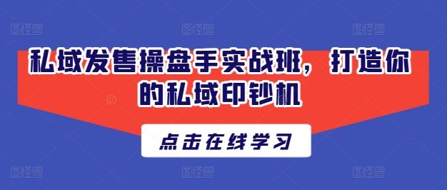 私域发售操盘手实战班，打造你的私域印钞机-一起网创
