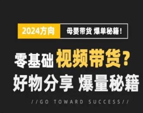 短视频母婴赛道实操流量训练营，零基础视频带货，好物分享，爆量秘籍-一起网创