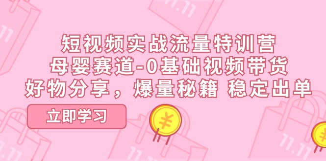 （11373期）短视频实战流量特训营，母婴赛道-0基础带货，好物分享，爆量秘籍 稳定出单-一起网创