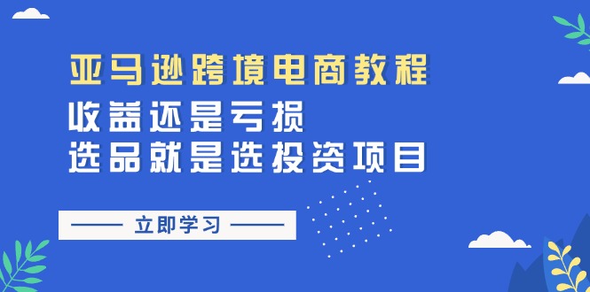 （11432期）亚马逊跨境电商教程：收益还是亏损！选品就是选投资项目-一起网创