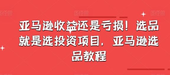 亚马逊收益还是亏损！选品就是选投资项目，亚马逊选品教程-一起网创