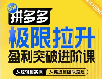 拼多多极限拉升盈利突破进阶课，​从算法到玩法，从玩法到团队搭建，体系化系统性帮助商家实现利润提升-一起网创