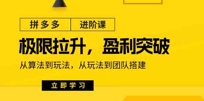 拼多多进阶课：极限拉升/盈利突破：从算法到玩法 从玩法到团队搭建（18节）-一起网创