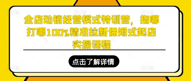 全店动销经营模式特训营，指哪打哪100%精准拉新保姆式起店实操课程-一起网创