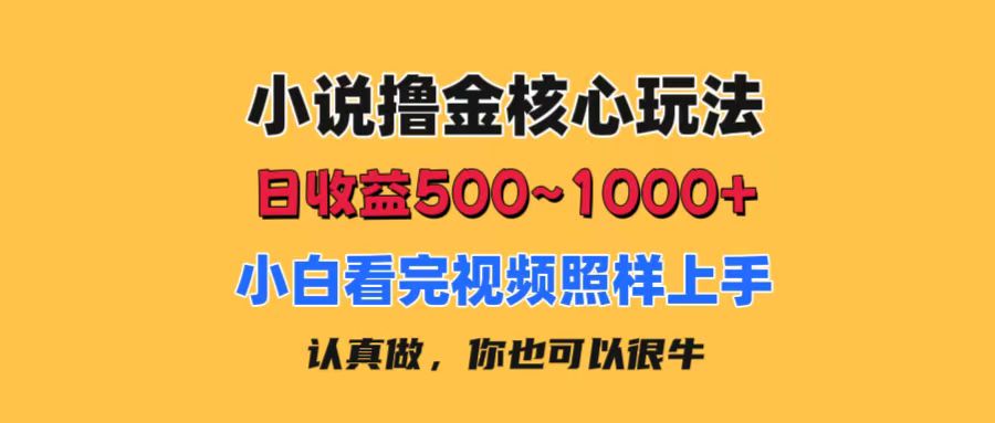 （11461期）小说撸金核心玩法，日收益500-1000+，小白看完照样上手，0成本有手就行-一起网创
