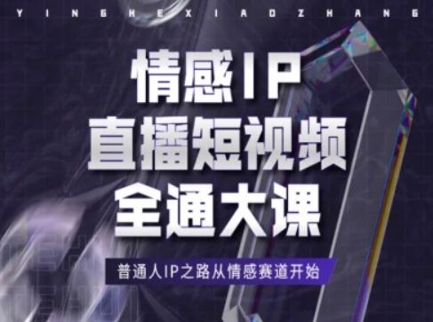 情感IP直播短视频全通大课，普通人IP之路从情感赛道开始-一起网创