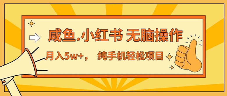 （11524期）2024最赚钱的项目，咸鱼，小红书无脑操作，每单利润500+，轻松月入5万+…-一起网创