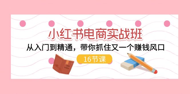 （11533期）小红书电商实战班，从入门到精通，带你抓住又一个赚钱风口（16节）-一起网创