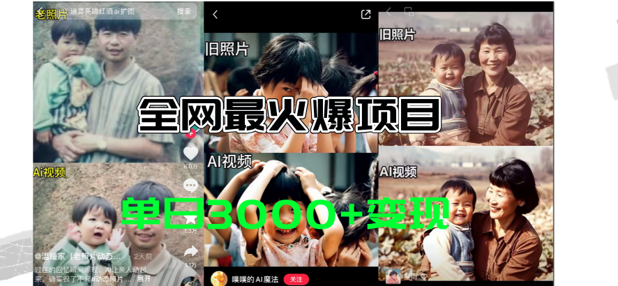 （11546期）全网爆火的AI让老照片动起来教程，蹭热点日赚3000+，内含免费工具一键…-一起网创