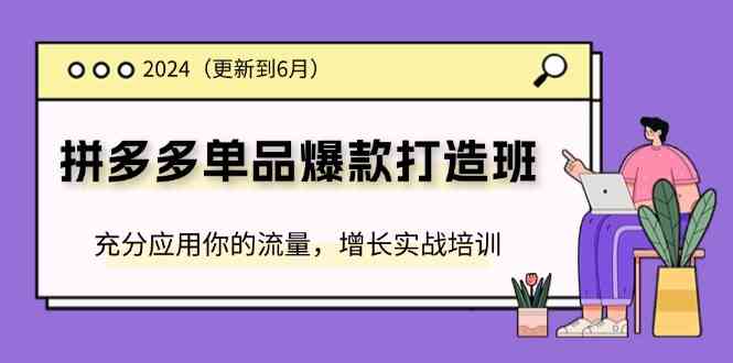 2024拼多多单品爆款打造班，充分应用你的流量，增长实战培训(更新6月)-一起网创