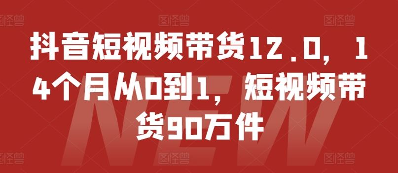 抖音短视频带货12.0，14个月从0到1，短视频带货90万件-一起网创