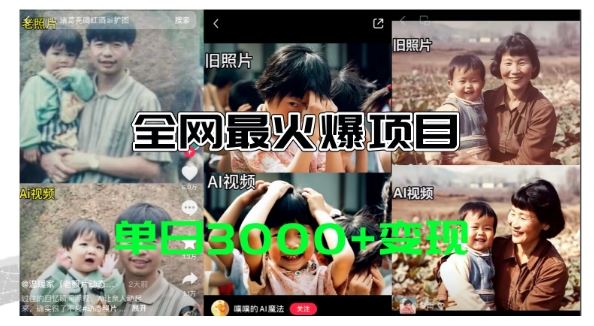 全网爆火的AI让老照片动起来教程，蹭热点日赚3k+，内含免费工具一键可生成【揭秘】-一起网创