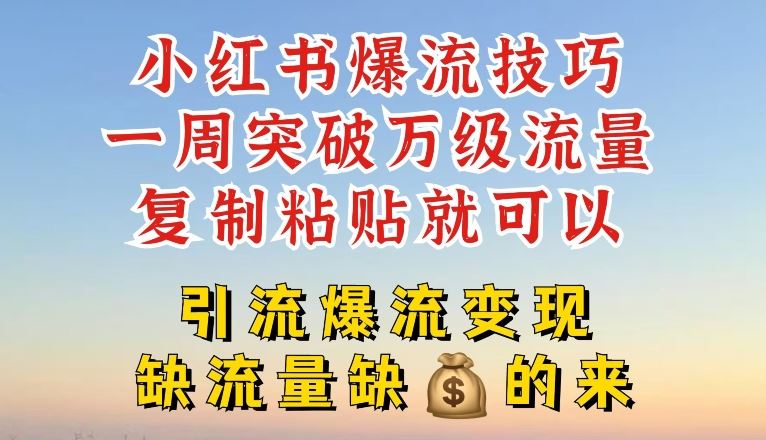小红书爆流技巧，一周突破万级流量，复制粘贴就可以，引流爆流变现【揭秘】-一起网创