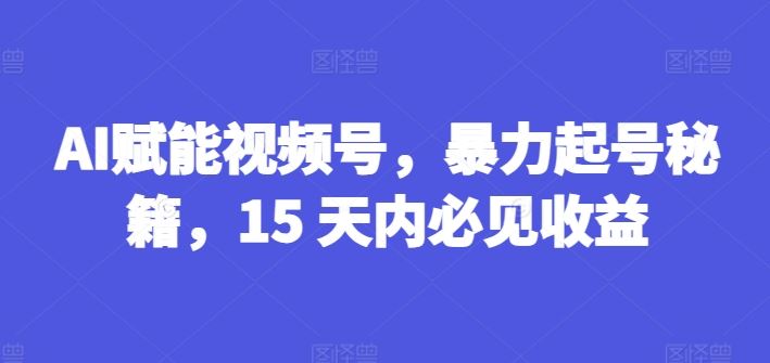 AI赋能视频号，暴力起号秘籍，15 天内必见收益【揭秘】-一起网创