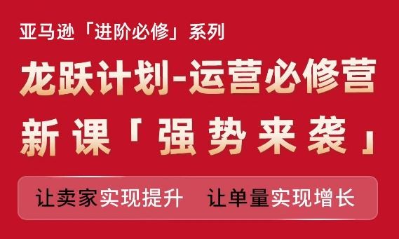 亚马逊进阶必修系列，龙跃计划-运营必修营新课，让卖家实现提升 让单量实现增长-一起网创