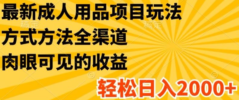 最新成人用品项目玩法，方式方法全渠道，轻松日入2K+【揭秘】-一起网创