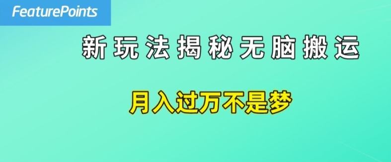 简单操作，每天50美元收入，搬运就是赚钱的秘诀【揭秘】-一起网创