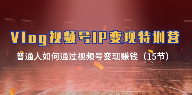 Vlog视频号IP变现特训营，普通人如何通过视频号变现赚钱（15节）-一起网创