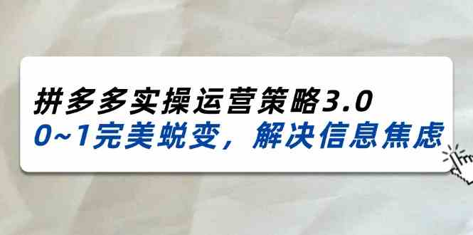 2024-2025拼多多实操运营策略3.0，0~1完美蜕变，解决信息焦虑（38节）-一起网创