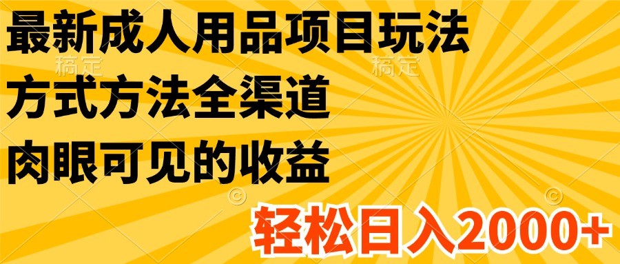 最新成人用品项目玩法，方式方法全渠道，肉眼可见的收益，轻松日入2000+-一起网创