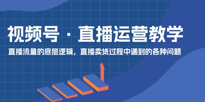 （11687期）视频号 直播运营教学：直播流量的底层逻辑，直播卖货过程中遇到的各种问题-一起网创