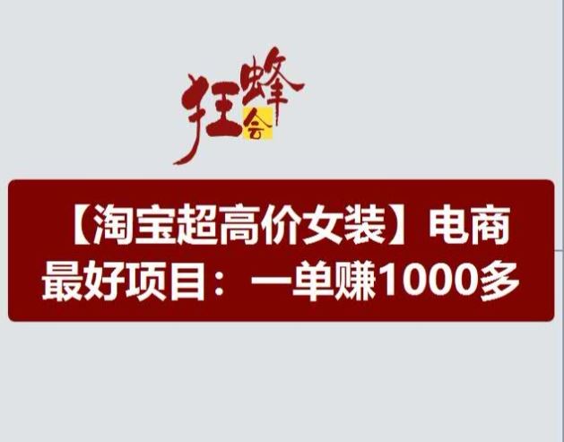 淘宝超高价女装项目，电商最好赛道，一单赚1000多-一起网创