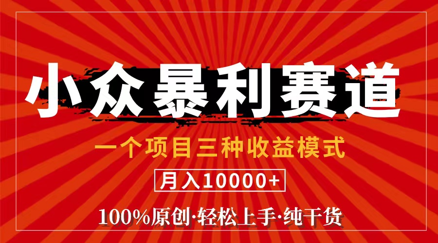 （11695期）视频号【中老年粉深信不疑】小众赛道 100%原创 手把手教学 新号3天收益…-一起网创