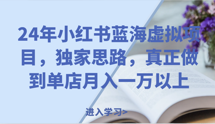 24年小红书蓝海虚拟项目，独家思路，真正做到单店月入一万以上。-一起网创