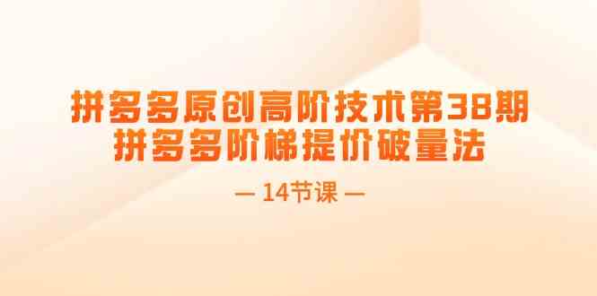 拼多多原创高阶技术第38期，拼多多阶梯提价破量法（14节课）-一起网创