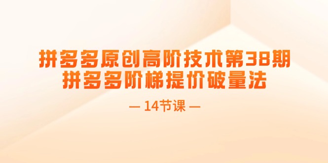 （11704期）拼多多原创高阶技术第38期，拼多多阶梯提价破量法（14节课）-一起网创
