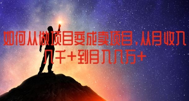 如何从做项目变成卖项目，从月收入几千到月入几万【揭秘】-一起网创
