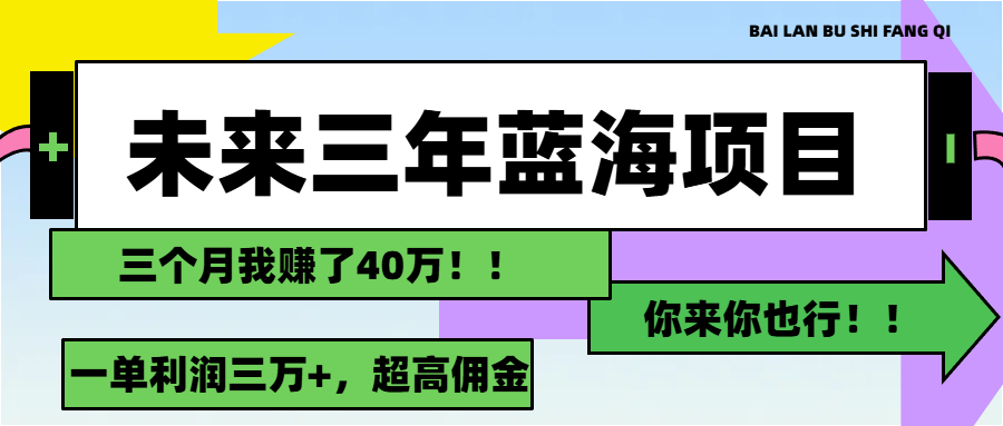 （11716期）未来三年，蓝海赛道，月入3万+-一起网创