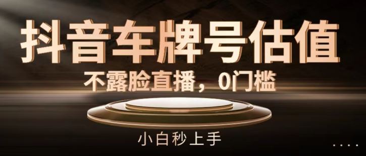 抖音车牌号估值，不露脸直播，0门槛，小白秒上手【揭秘】-一起网创