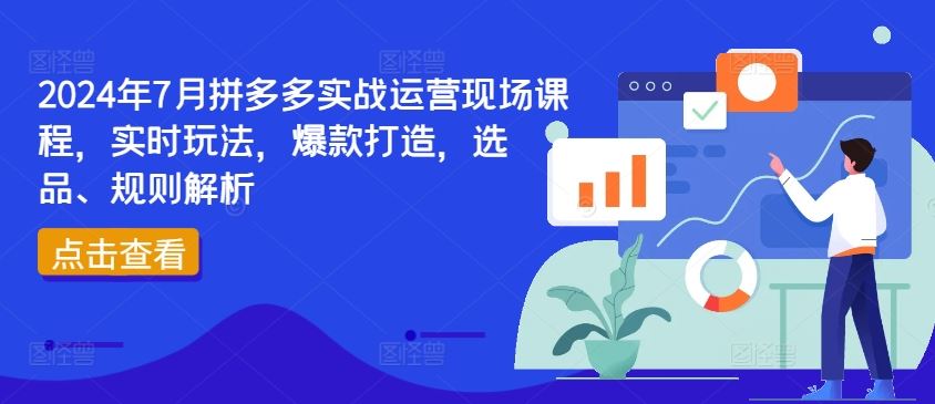 2024年7月拼多多实战运营现场课程，实时玩法，爆款打造，选品、规则解析-一起网创