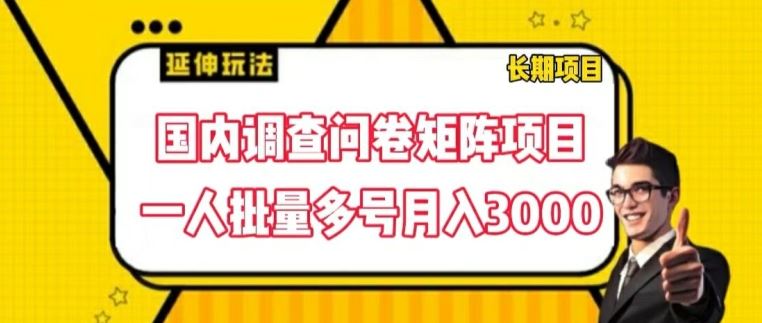 国内调查问卷矩阵项目，一人批量多号月入3000【揭秘】-一起网创