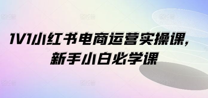 1V1小红书电商运营实操课，新手小白必学课-一起网创